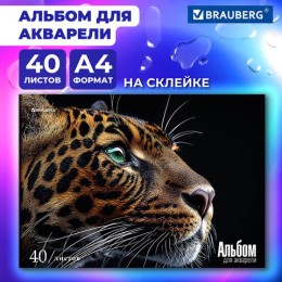 Альбом для акварели А4 40л., бумага 200 г/м, склейка, обложка картон, BRAUBERG, Дизай, 107130