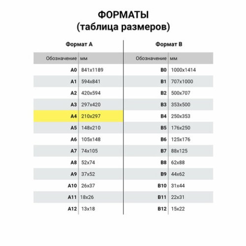 Папка на молнии с ручками BRAUBERG А4, 1 отделение, полиэстер, 80 мм, "Happy friendship", 270958