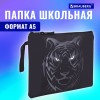 Папка для тетрадей BRAUBERG А5, 1 отделение, полиэстер, на молнии, с ручкой, "Tiger", 271500