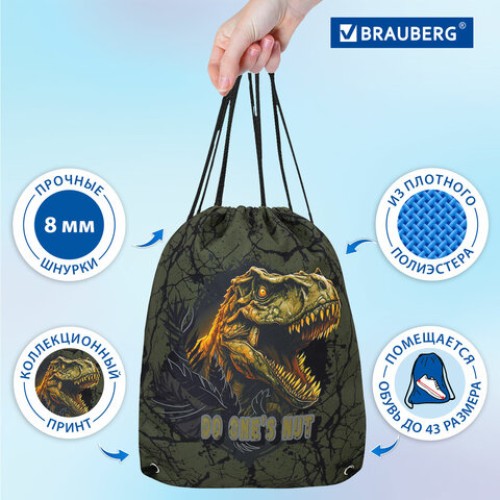 Мешок для обуви BRAUBERG PREMIUM, карман, подкладка, светоотражайка, 43х33 см, Dino attack, 272424