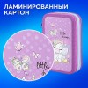 Пенал ПИФАГОР, 3 отделения, ламинированный картон, 19х11 см, "Sweet Dreamer", 271545