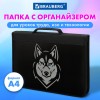 Папка на молнии BRAUBERG А4 с ручкой, с органайзером, 1 отделение, "Husky", 271450