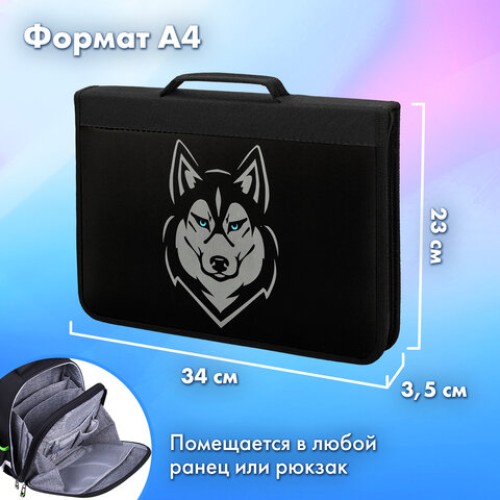 Папка на молнии BRAUBERG А4 с ручкой, с органайзером, 1 отделение, "Husky", 271450