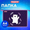 Папка для тетрадей ПИФАГОР А4, 1 отделение, картон/пластик, на молнии, "Happy bear", 272126