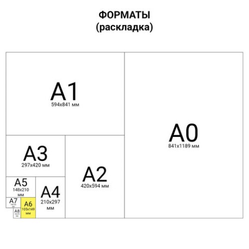 Карманы информационные самоклеящиеся PS-T, А6, вертикальные, КОМПЛЕКТ 10 шт., ПЭТ, толщина 0,3 мм, 171885