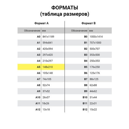 Карманы информационные самоклеящиеся PS-T, А5, вертикальные, КОМПЛЕКТ 10 шт., ПЭТ, толщина 0,3 мм, 171886