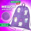 Мешок для обуви BRAUBERG KIDS, с петлей, 42х34 см, "Playing kittens", 272413