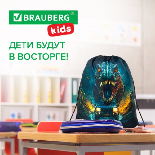 Мешок для обуви BRAUBERG KIDS, с петлей, 42х34 см, "Dino chase", 272416