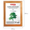 Рамка 15х20 см, дерево, багет 18 мм, BRAUBERG "HIT", канадская сосна, стекло, подставка, 390020