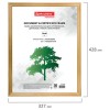 Рамка 30х40 см, дерево, багет 18 мм, BRAUBERG "HIT", канадская сосна, стекло, 390026
