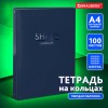 Тетрадь на кольцах БОЛЬШАЯ А4 (210х305 мм), 100 листов, твердый картон, клетка, BRAUBERG, Shade, 404102