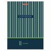 Тетрадь на кольцах БОЛЬШАЯ А4 (225х300 мм), 100 листов, твердый картон, клетка, BRAUBERG, Полосы, 403273