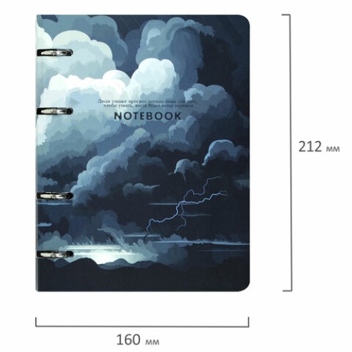 Тетрадь на кольцах А5 160х212 мм, 120 листов, картон, матовая ламинация, клетка, BRAUBERG, "Clouds", 404726