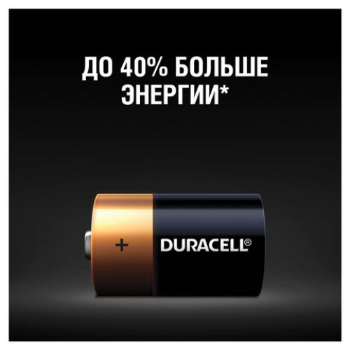 Батарейки КОМПЛЕКТ 2 шт., DURACELL Basic ОРИГИНАЛ, D (LR20, 13А), алкалиновые, блистер, MN 1300D LR20