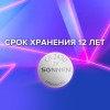 Батарейка литиевая CR2430 1 шт. "таблетка, дисковая, кнопочная" SONNEN Lithium, в блистере, 455600