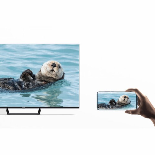 Телевизор XIAOMI Mi LED TV A2 55" (138 см), 3840x2160, 4K, 16:9, SmartTV, Wi-Fi, черный, L55M7-EARU