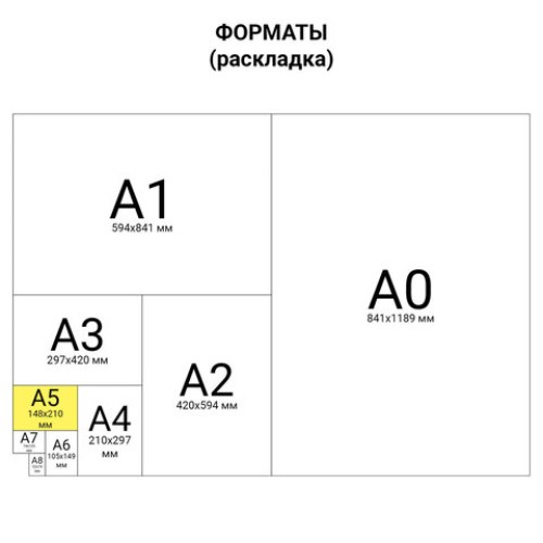 Тетрадь на кольцах А5 (180х220 мм), 80 листов, под кожу, клетка, BRAUBERG VISTA, Travel, 112136