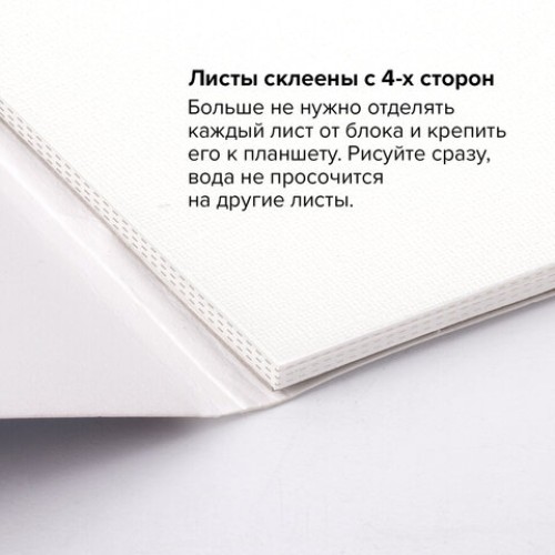 Папка для акварели/планшет, 300 г/м2, 190х270 мм, склейка, мелкое зерно, 20 л., BRAUBERG ART PREMIERE, 113246