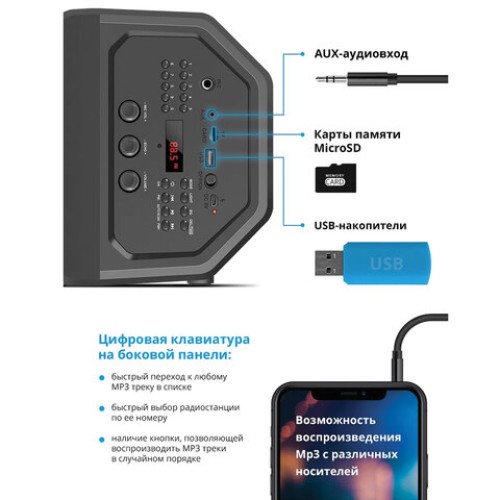 Колонка портативная DEFENDER Rage, 2.0, 50 Вт, Bluetooth, FM-тюнер, microSD, чёрная, 65109