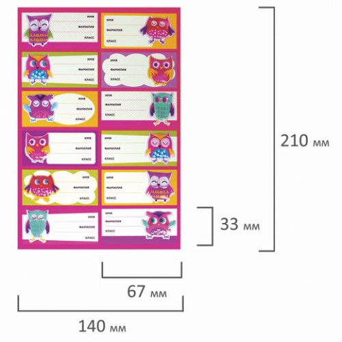 Наклейки для маркировки школьных принадлежностей "Совы", 12 штук, 14х21 см, ЮНЛАНДИЯ, 662710