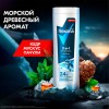 Подарочный набор REXONA MEN: Гель для душа и шампунь 2 в 1 (180 мл) + Спрей-антиперспирант (150 мл)