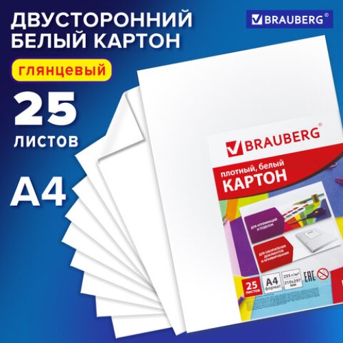 Картон белый А4 МЕЛОВАННЫЙ (белый оборот), 25 листов, BRAUBERG, 210х297 мм, 124021