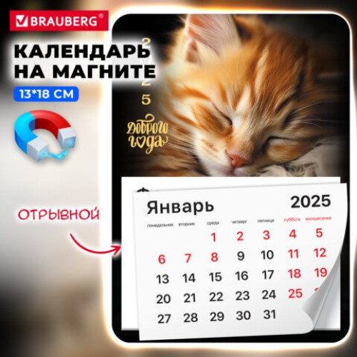 Календарь отрывной на магните на 2025 г., BRAUBERG, 130х180 мм, склейка, "Котик", 116281