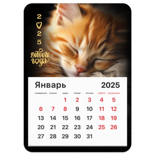 Календарь отрывной на магните на 2025 г., BRAUBERG, 130х180 мм, склейка, "Котик", 116281