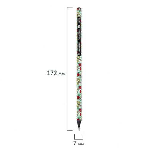 Карандаш чернографитный BRAUBERG "CALAVERAS", 1 шт., HB, корпус ассорти, 181758