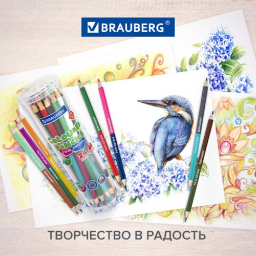 Карандаши цветные двусторонние BRAUBERG PREMIUM TWIN COLOUR, 24 шт., 48 цв., туба, шестигранные, грифель 3,3 мм, натуральное дерево, 181876