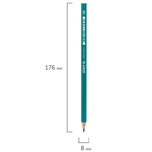 Карандаш чернографитный STAFF "EVERYDAY" BLP-GRN, 1 шт., НВ, пластиковый, корпус зеленый, 181938