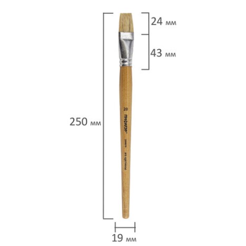 Кисть ПИФАГОР, ЩЕТИНА, плоская, № 20, деревянная лакированная ручка, пакет с подвесом, 200879