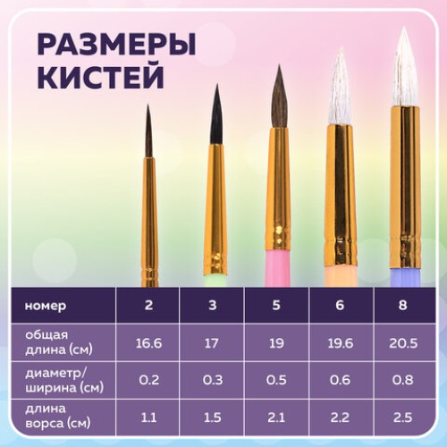 Кисти НАБОР 5 шт. (БЕЛКА круглая № 3; КОЗА круглые № 6, 8; ПОНИ круглые № 2, 5), BRAUBERG KIDS, 201080